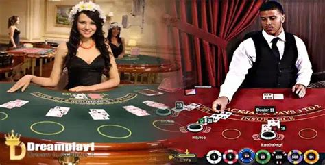 dreamplay1 login|Online Casino .